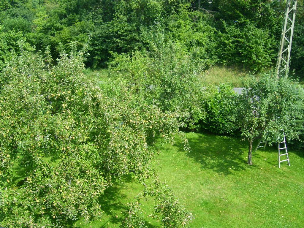 Ferienwohnung Leichlingen Pokój zdjęcie